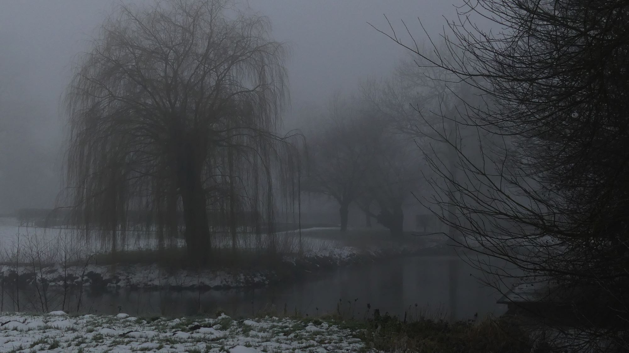 Burggraben im Nebel