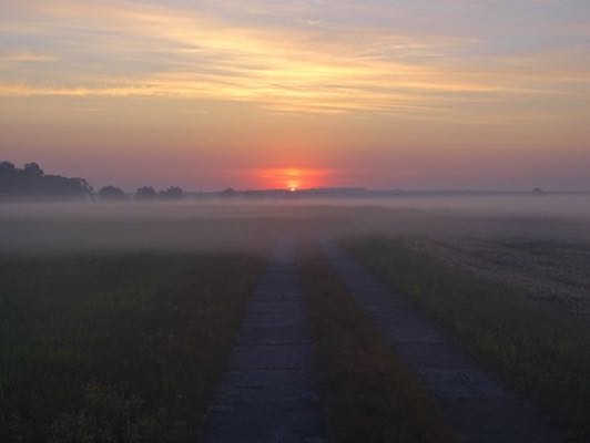 Sonnenaufgang im Odertal